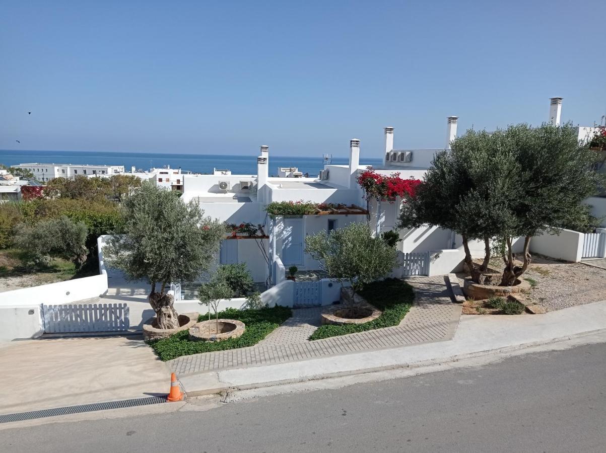 Amphitrite Apartments Skyros Exterior foto